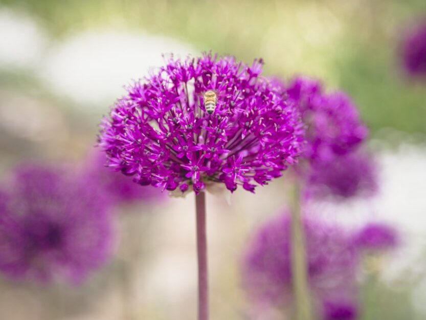 empowering your team, effective leadership, business leadership, business strategy