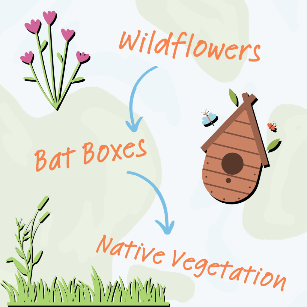 ow to Integrate Nature-Based Solutions into Sustainable Business Strategies